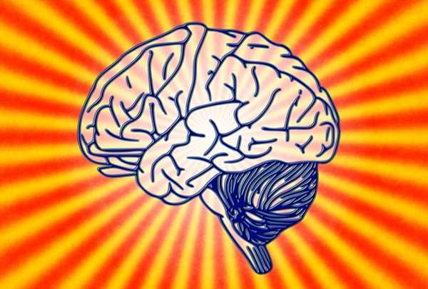 2012 ap psychology exam answers