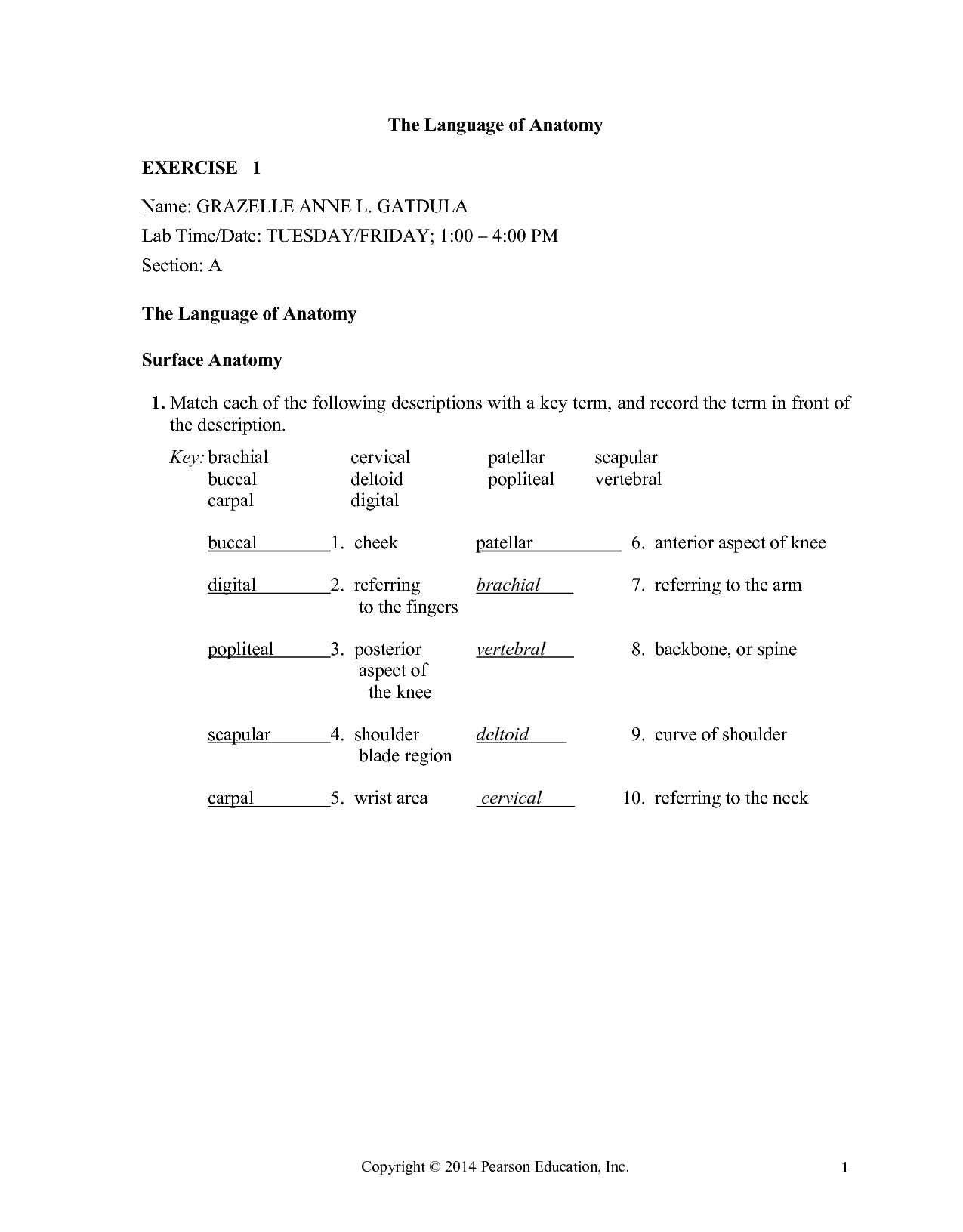 the language of anatomy exercise 1 answer key