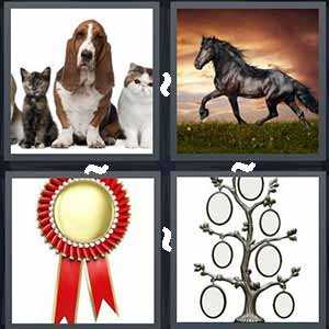 4 pics 1 word 8 letters answers list