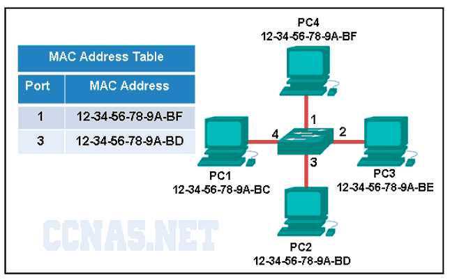 ccna 2 chapter 6 exam