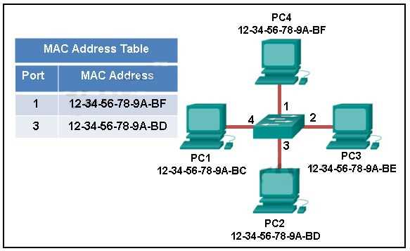 ccna chapter 1 exam answers