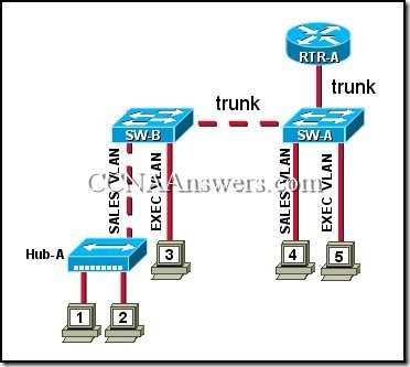 cisco packet tracer final exam answers