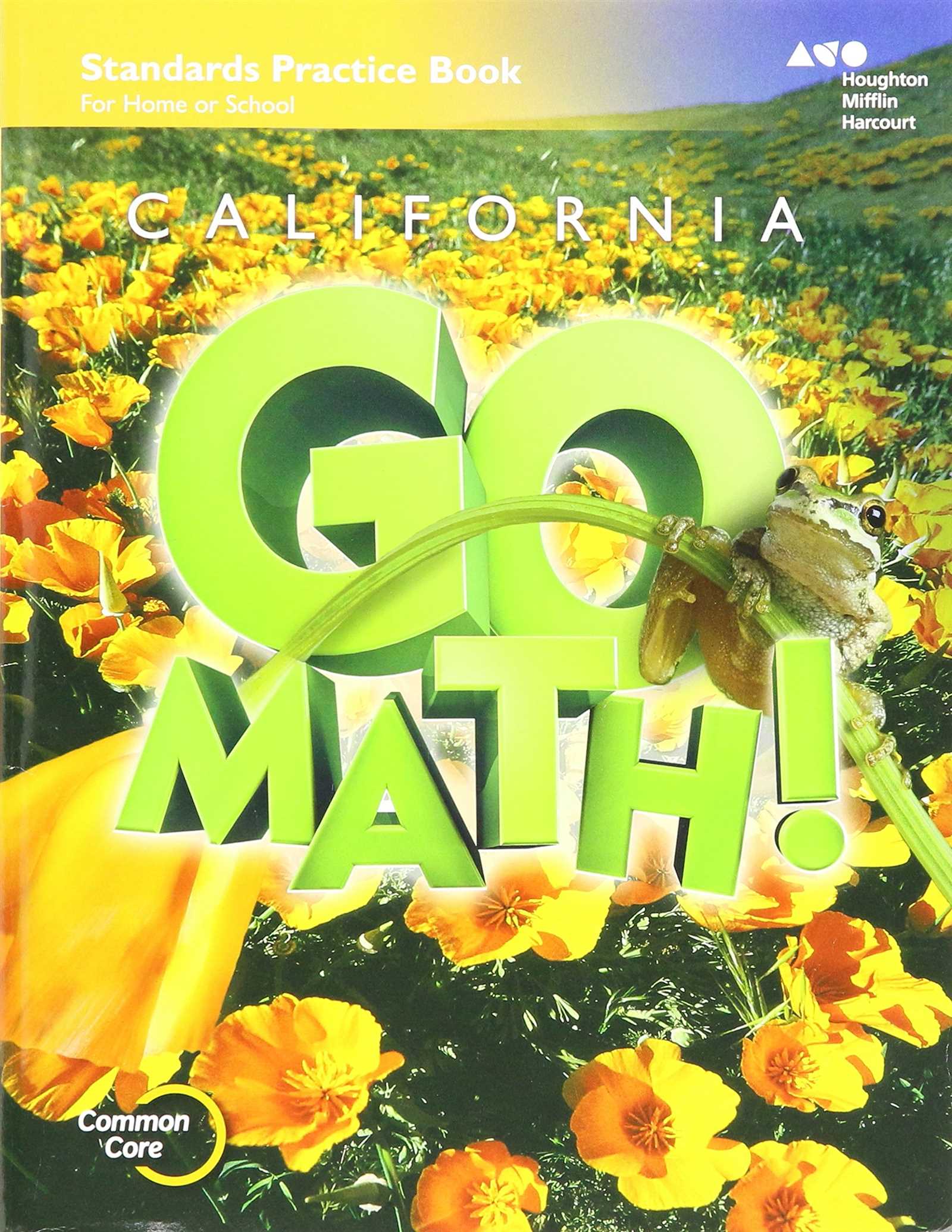 go math standards practice book grade 5 answers