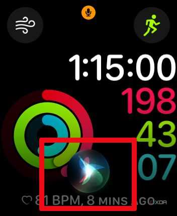 apple watch answer calls