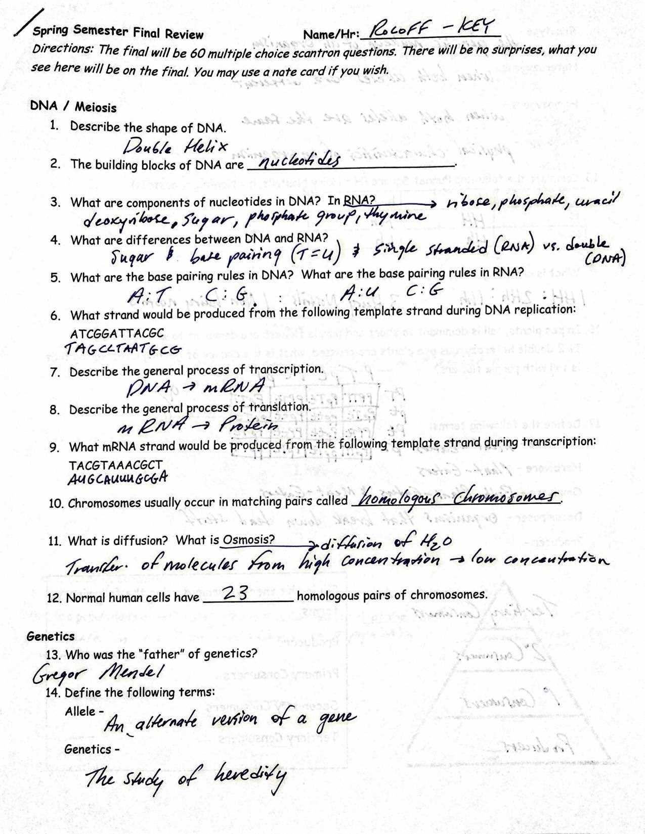 biology b final exam answers