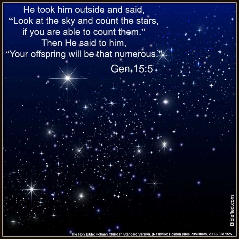 genesis questions and answers