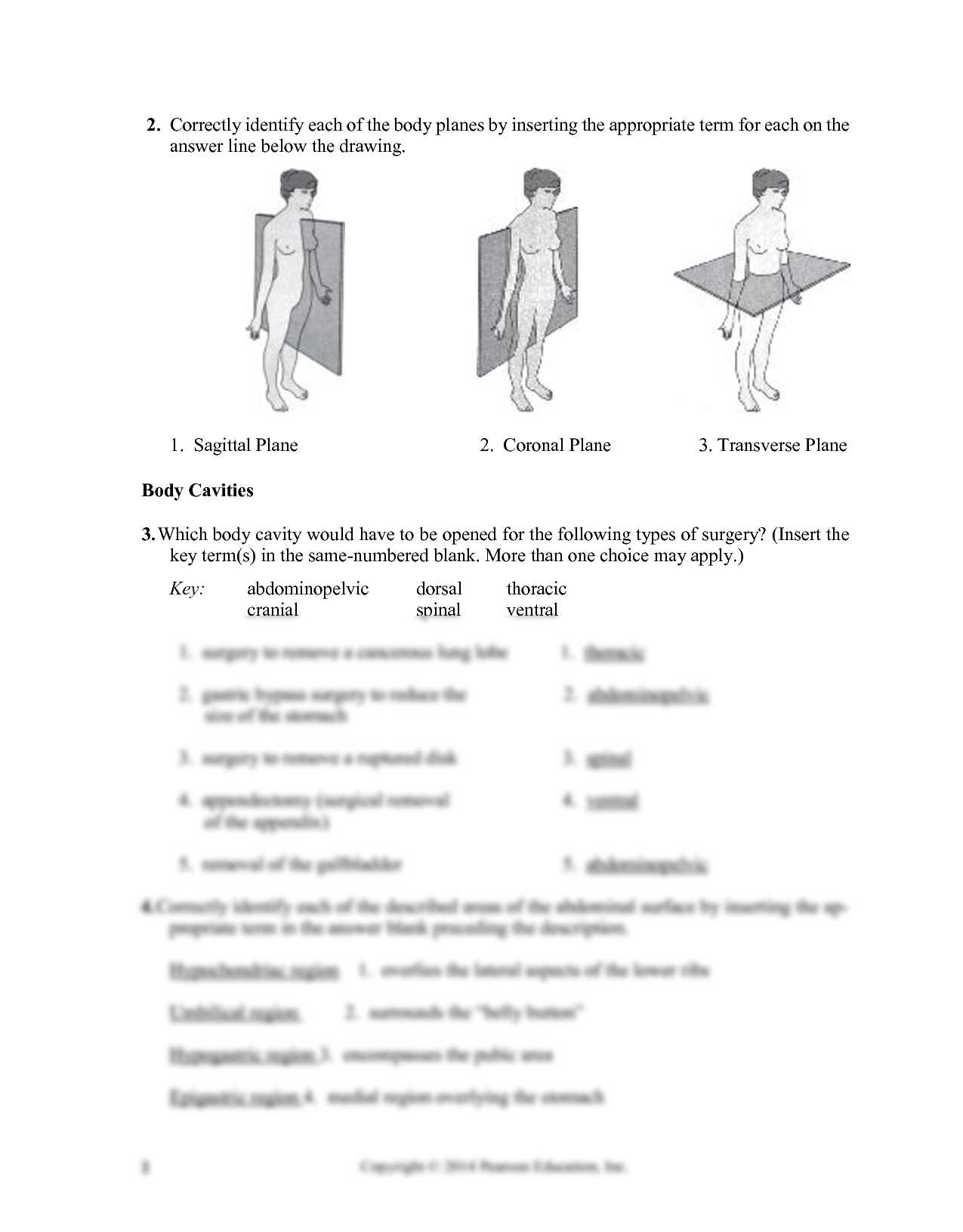 the language of anatomy exercise 1 answer key