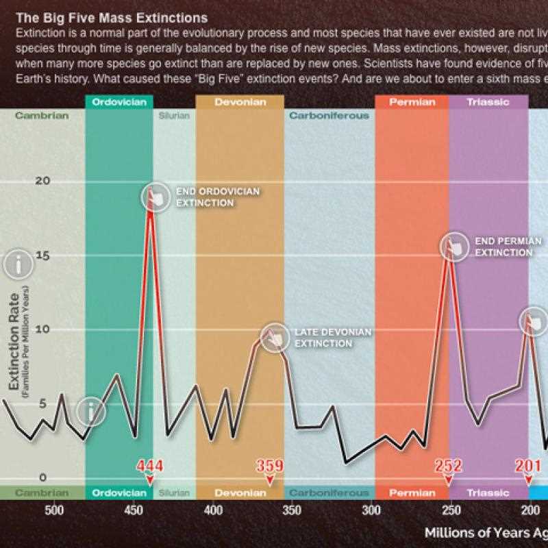 mass extinction pogil answers