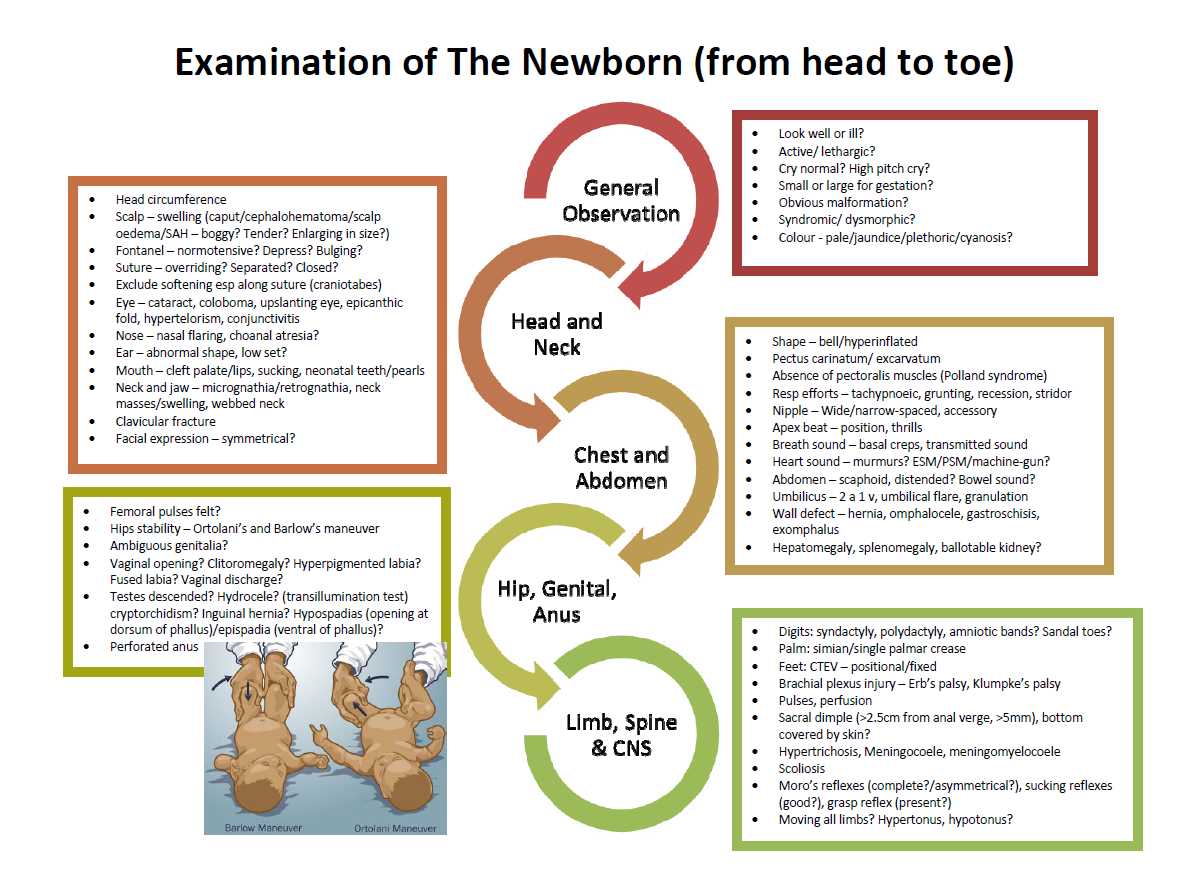 newborn physical exam checklist