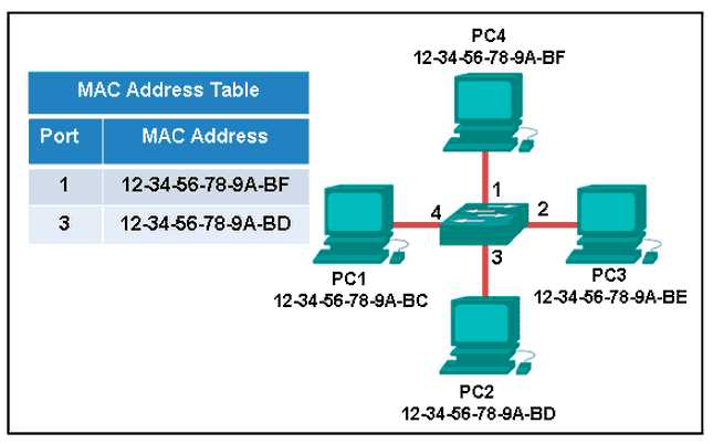 cisco netacad exam answers chapter 3