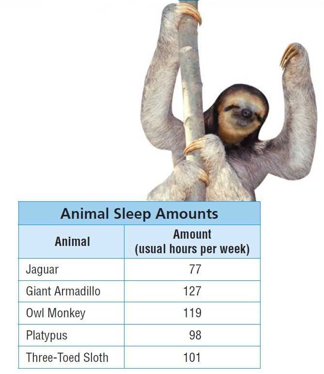 go math grade 5 textbook answers