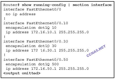 routing and switching essentials version 5.0 rse chapter 2 exam