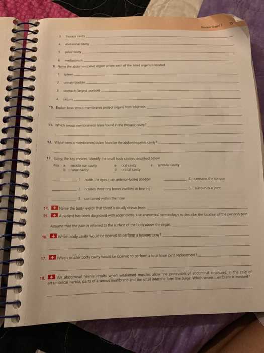 the language of anatomy exercise 1 answer key