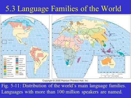 language key issue 1 answers
