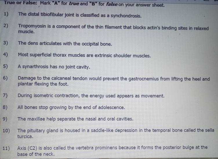 anatomy and physiology final exam answer key