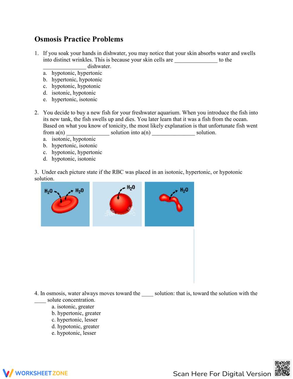 osmosis practice activity answer key