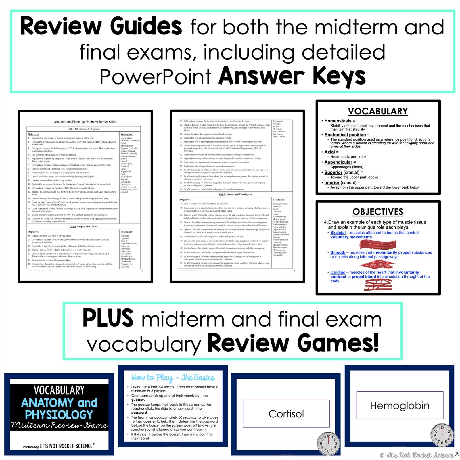 anatomy and physiology final exam answer key