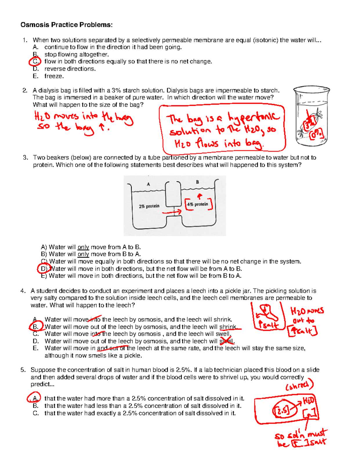 osmosis practice activity answer key