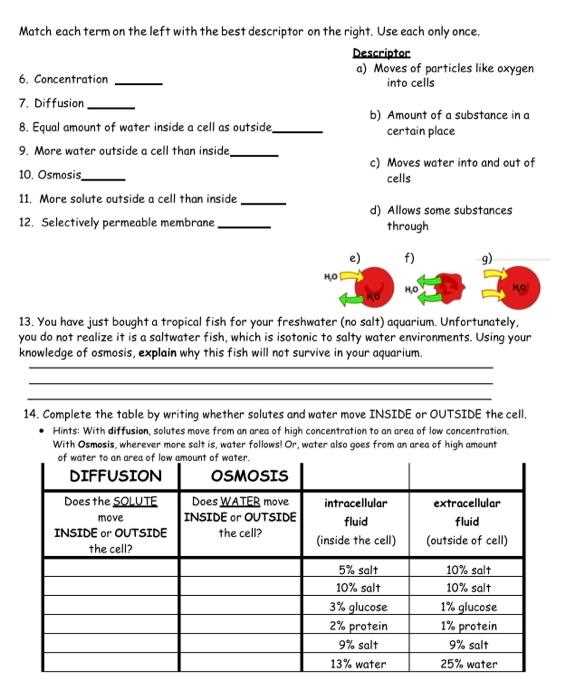osmosis practice activity answer key