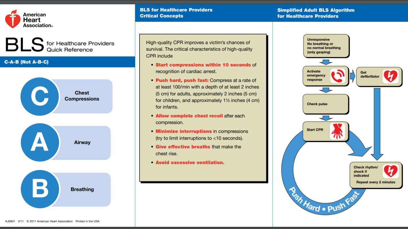bls for healthcare providers course version c answers