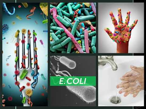 microbiology exam 3 review