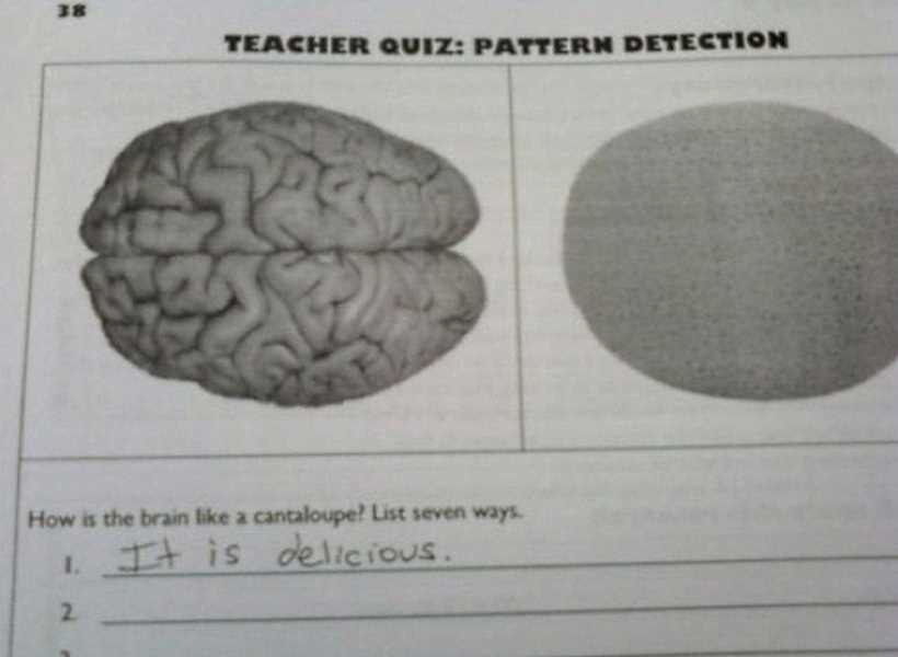 silly answers to exam questions