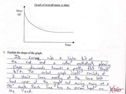 silly answers to exam questions