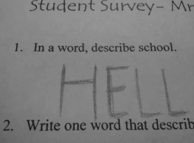 silly answers to exam questions