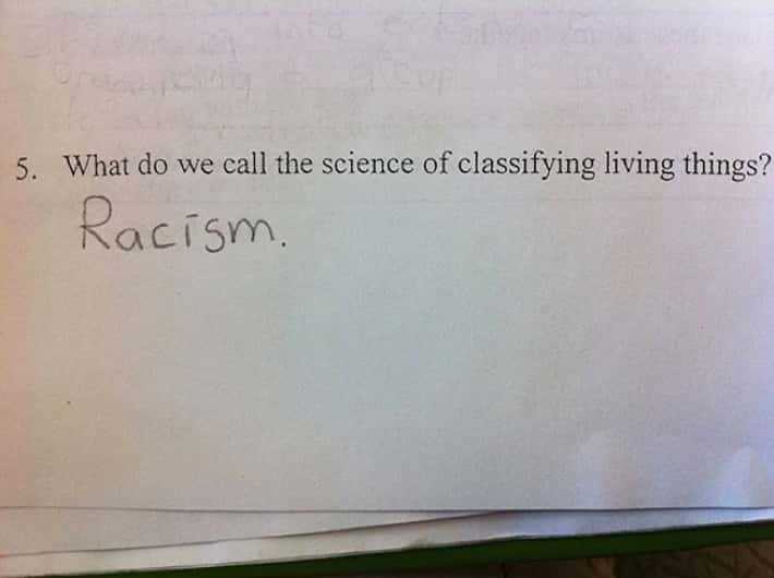 silly answers to exam questions