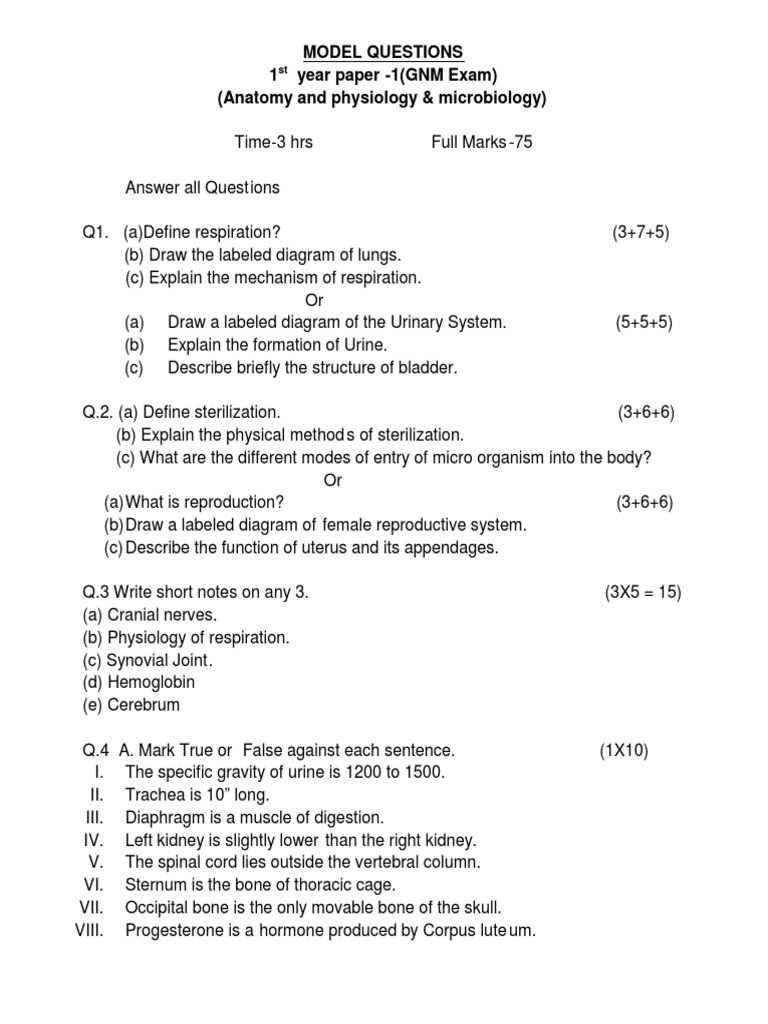 anatomy and physiology final exam answer key