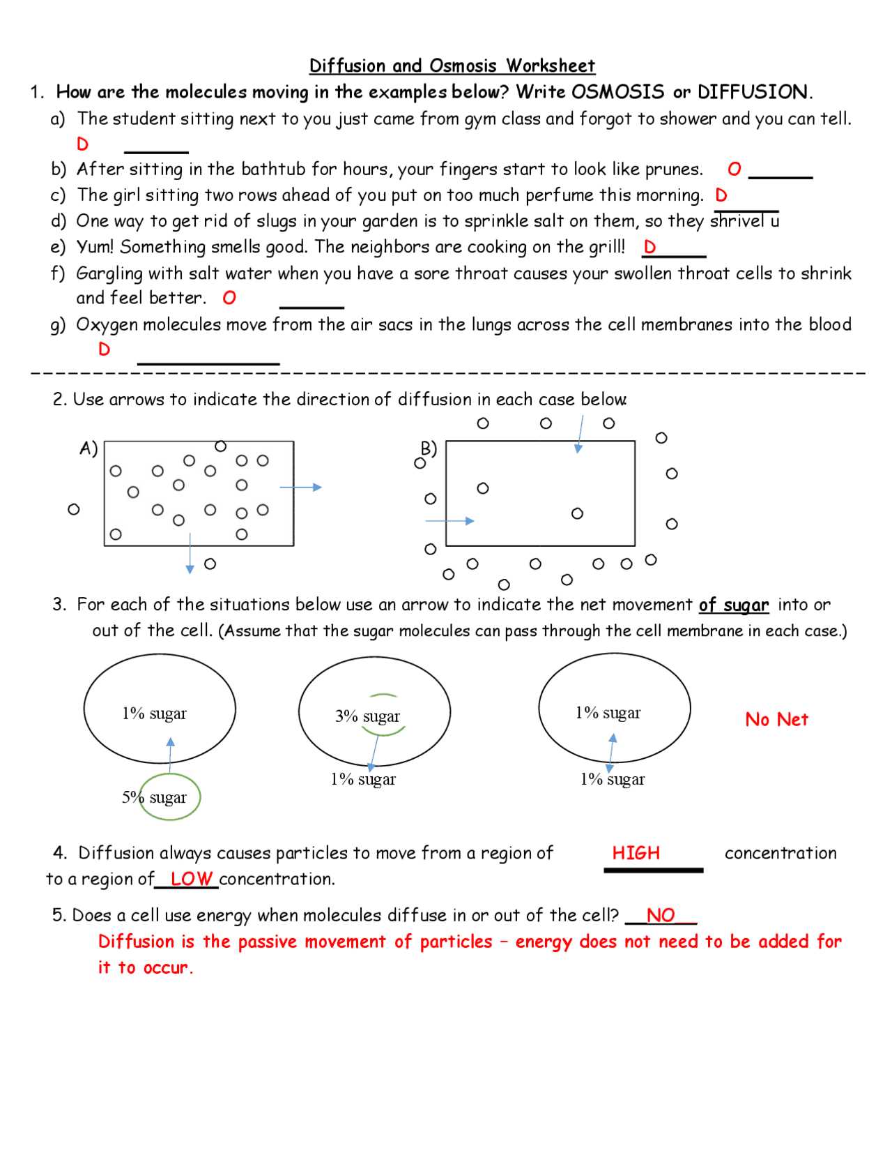 osmosis practice activity answer key